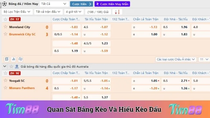 Quan sát bảng kèo và hiểu rõ kèo đấu quan trọng