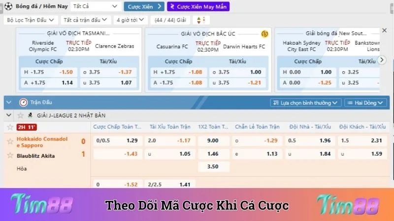 Theo dõi mã cược để biết được mình giành chiến thắng hay thua