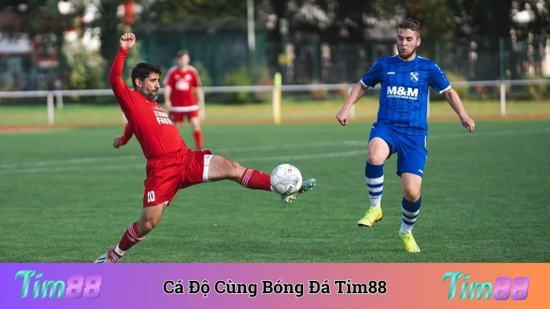 Tham gia cá độ cùng với bóng đá Tim88 nhận ngay thưởng lớn