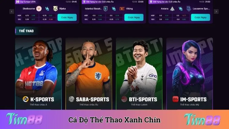 Cá độ thể thao với hệ thống bảng kèo xanh chín