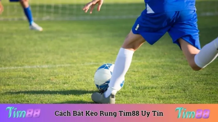 Cách Bắt Kèo Rung