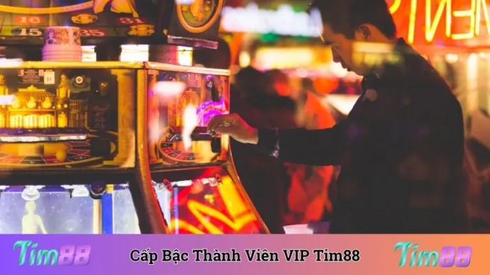 Cấp Bậc Thành Viên VIP Tim88