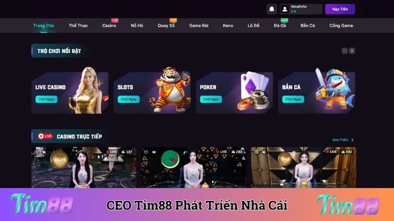 CEO Tim88 có chiến lược thông minh để phát triển nhà cái