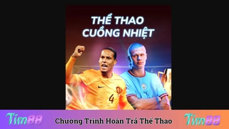 Nhà cái áp dụng hoàn trả thể thao Tim88 tri ân hội viên