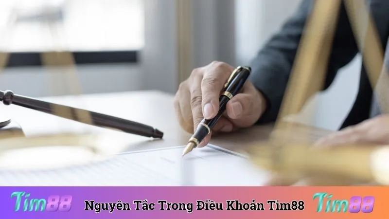 Tìm hiểu nguyên tắc trong điều khoản sử dụng Tim88 chính thức