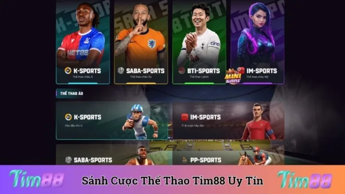 Sảnh Cược Thể Thao Tim88