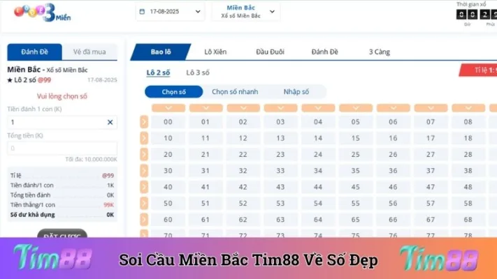 Soi Cầu Miền Bắc