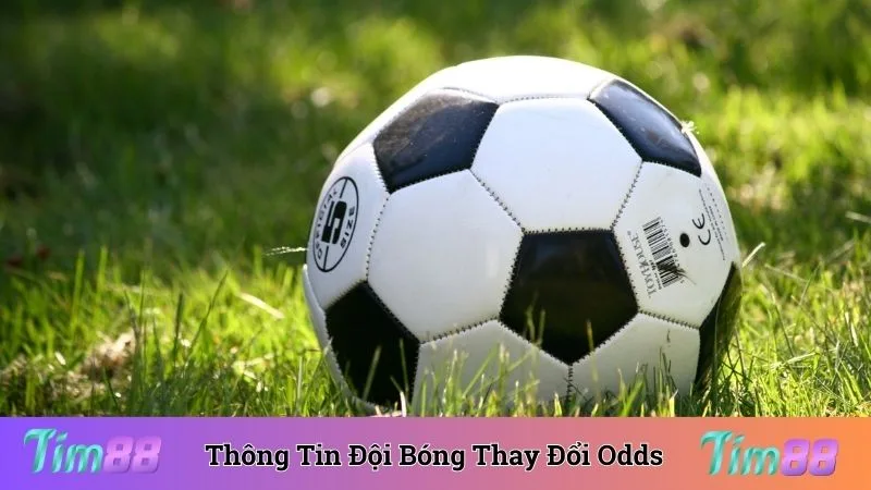Dựa vào thông tin đội bóng thay đổi odds để đảm bảo sự cân bằng