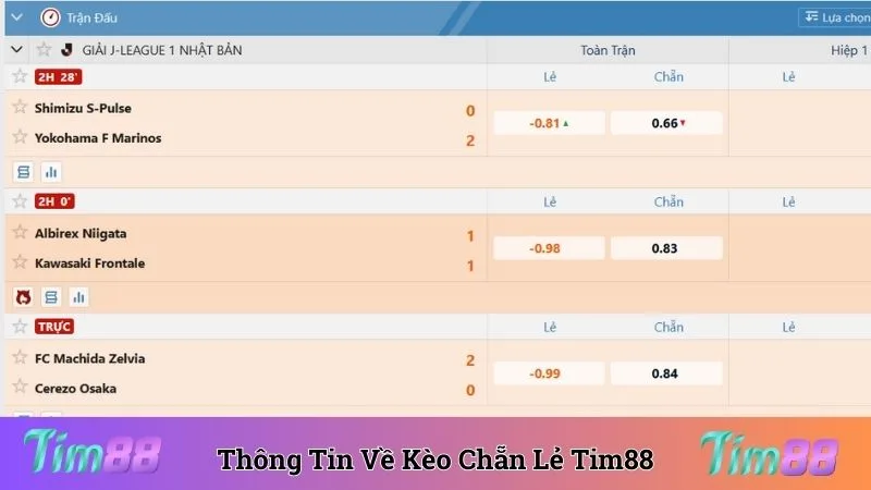 Tìm hiểu thông tin về kèo chẵn lẻ bóng đá đầy đủ