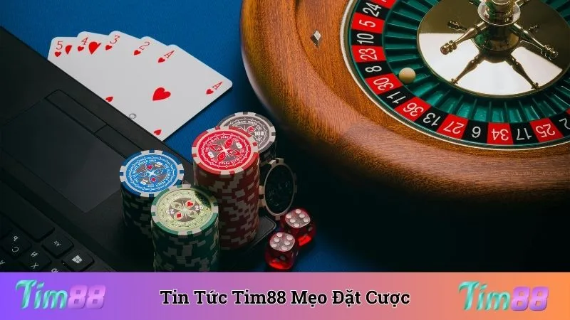 Tin tức Tim88 mang đến các mẹo đặt cược có tỷ lệ thắng cao 