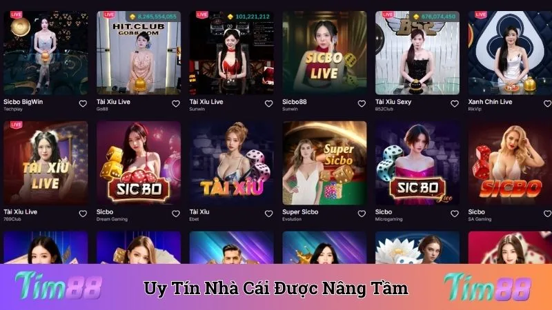 Uy tín nhà cái được nâng tầm dưới sự dẫn dắt của CEO Tim88