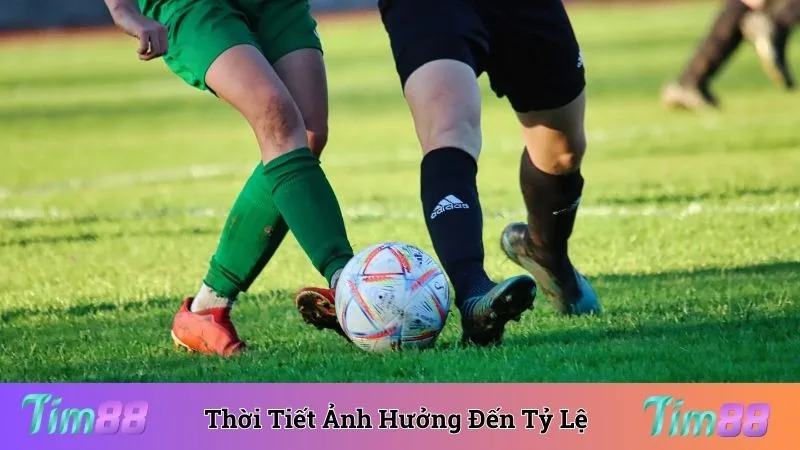 Yếu tố thời tiết ảnh hưởng lớn đến tỷ lệ kèo bóng đá